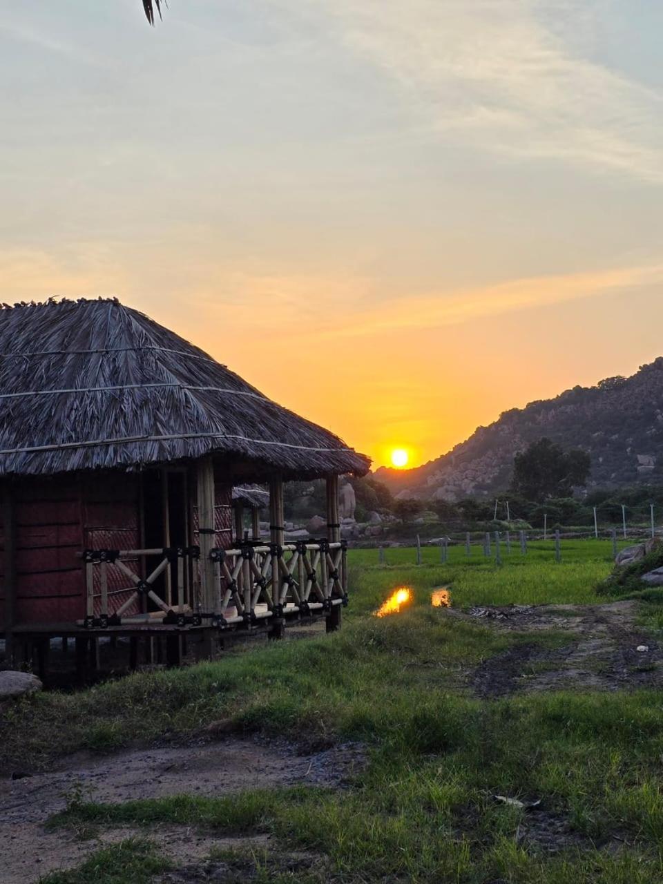 Golden Chariot Resort هامبي المظهر الخارجي الصورة